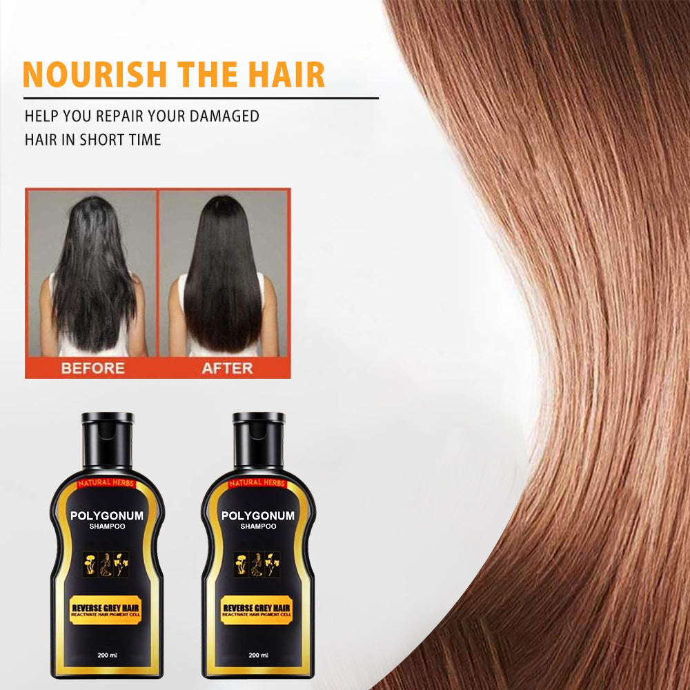 Natural Multiflorum Hair Shampoo & Hair Darkening Shampoo Promote