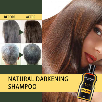 Natural Multiflorum Hair Shampoo & Hair Darkening Shampoo  Promote