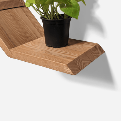 Lean Shelf: Wall-Mounted Wooden Display Shelf