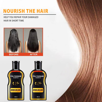 Natural Multiflorum Hair Shampoo & Hair Darkening Shampoo  Promote