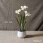 Artificial Silk Real Touch Daffodil Flower Bonsai